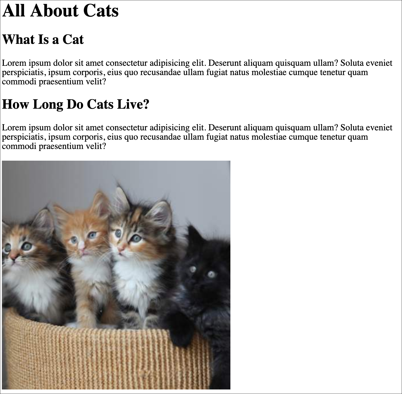 HTML file with an image